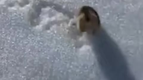 To punish and enslave