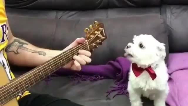 My artistic cells are also very strong