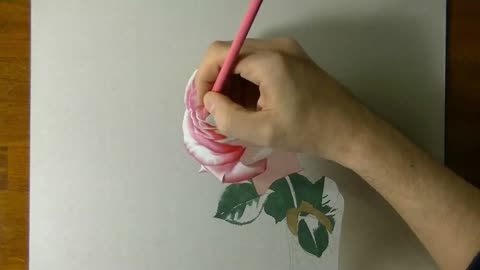 Draw Different Colors Of Petals