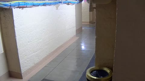 0013USCSBASB10Hallway_2021-01-05_01h40min01s930ms.mp4