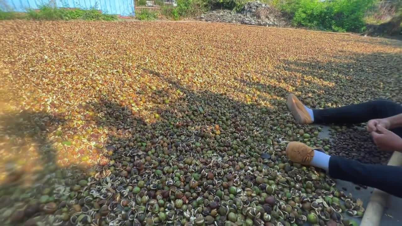 What fruit is this?