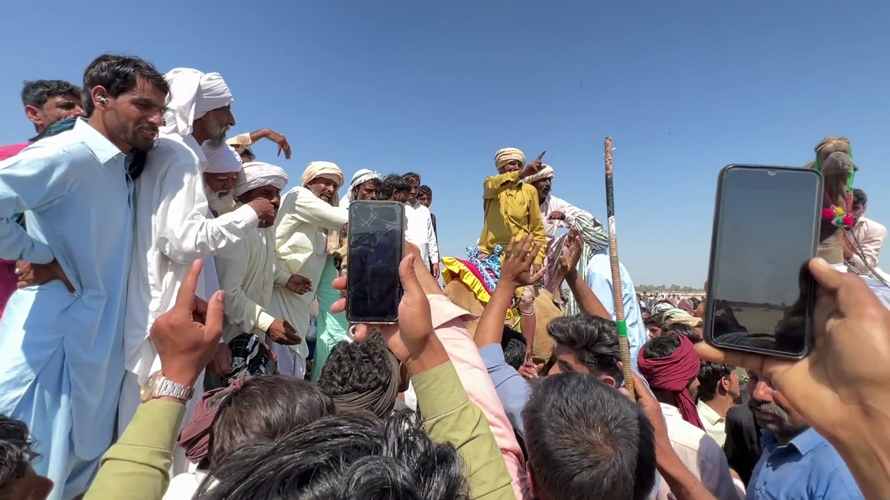 Camel race Competition at the Cholistan Dersrt