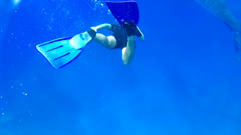 snorkel diving underwater