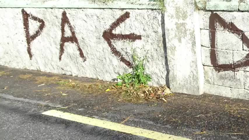 Dave Cullen's House & Property Attacked In Ireland For Reporting The News! (30th July 2021)