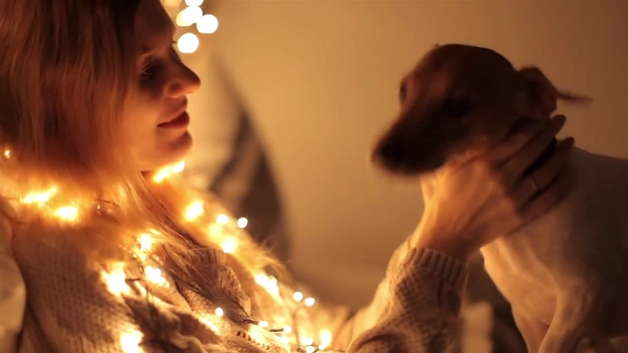 Girl With a Dog Lie, Play on a Bed Decorated With a Garland in the Evening