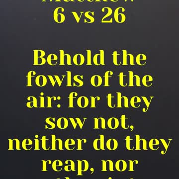 JESUS SAID ... Behold the fowls of the air: for they sow not, neither do they reap