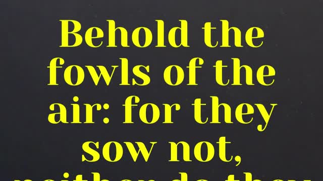 JESUS SAID ... Behold the fowls of the air: for they sow not, neither do they reap