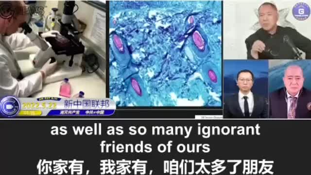 Ex- Chinese Weighs in on C19