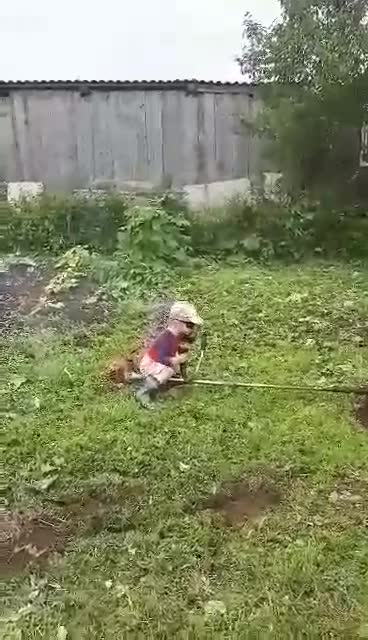 The child has mown all grass