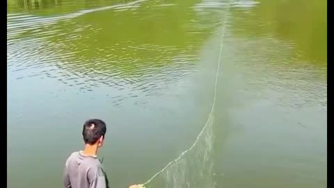 Amazing Fish Catching Technique