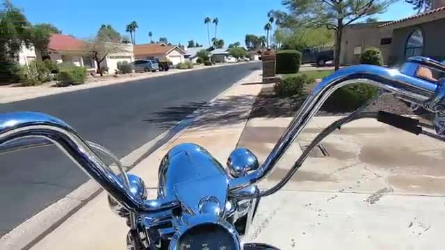 Harley Davidson 1