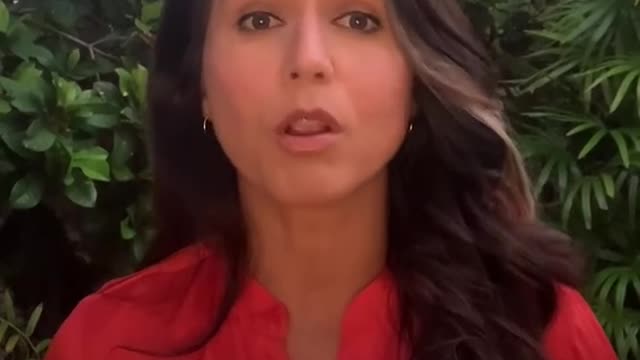 Tulsi Gabbard ~ FBI complicit in sex crimes of pedophile rapist