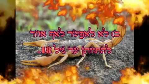 ג' שעות אוף דא בסט