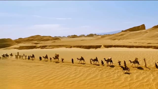 Camel and horses walking in the desert