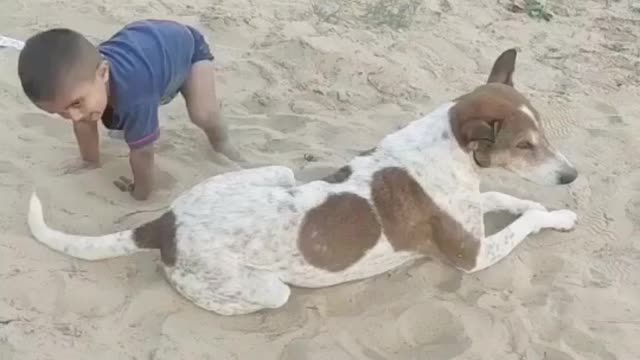 Funny boy and dog 🐕🐕 funny videos