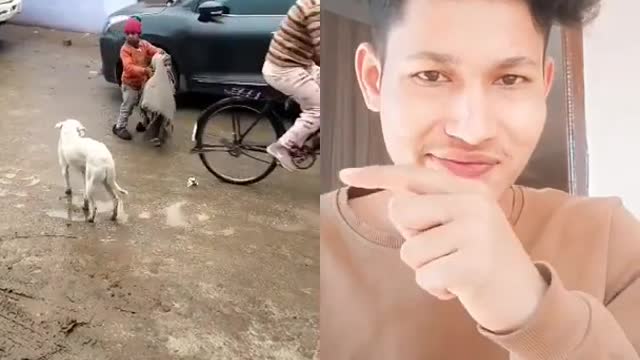 respect for big bro 😅 kya seen hai 🤣 moj kardi 🤣 funny moments 🤣 tik tok 🤣 zili comedy 🤣 #shorts
