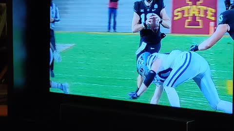 Furry football fan