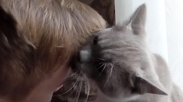 The cat licks the boy’s head