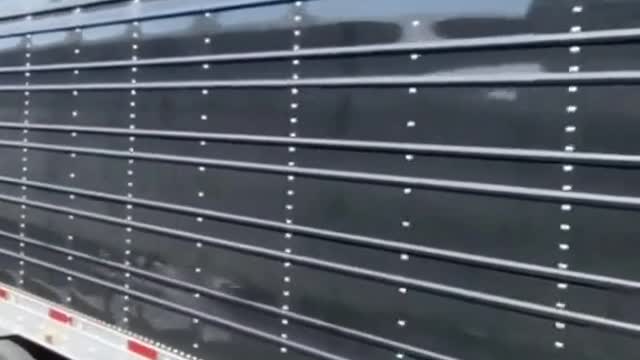 Another perspective: Appreciate the truck driver of Black King Kong as a whole