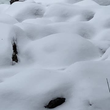 Snow covered rocks.