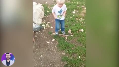 Try Not To Laugh Funny_Baby_Reaction_when Play_with_Animals