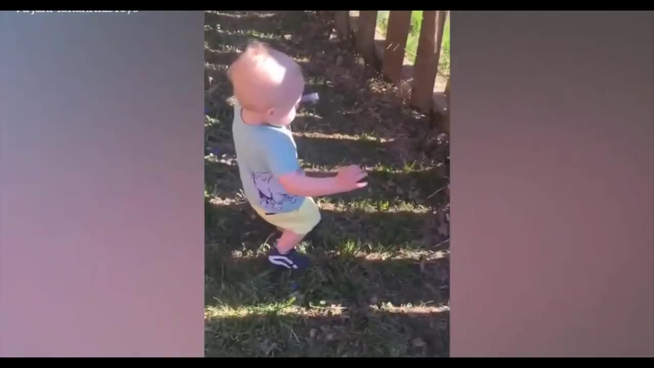 Baby Funny Moments Compilation | IMPOSSIBLE Try not to Laugh