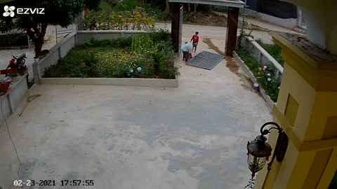 Heavy Gate Falls on Boy