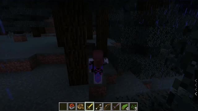 Minecraft 1.17.1_ Modded_Shorts_Outting_71