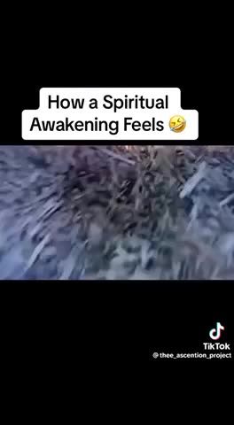 😬 | In It Together