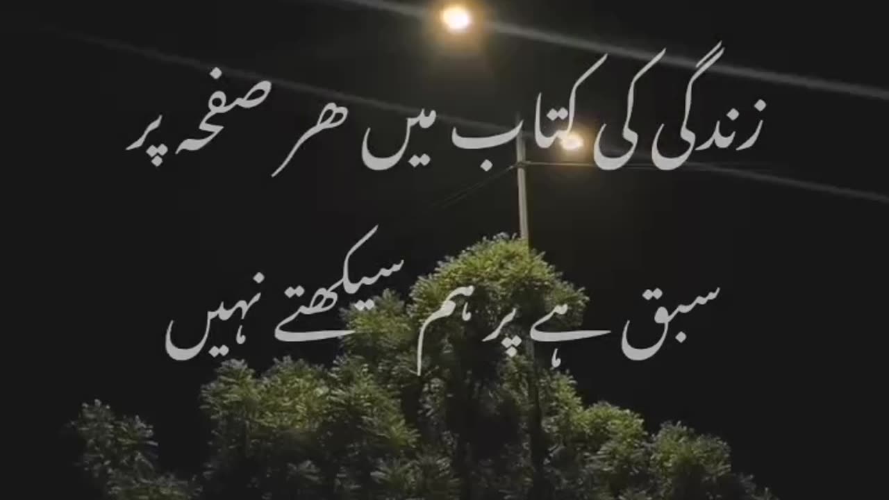 #Short's#Reel's#Urdupoetry #Watch #Immiwrites