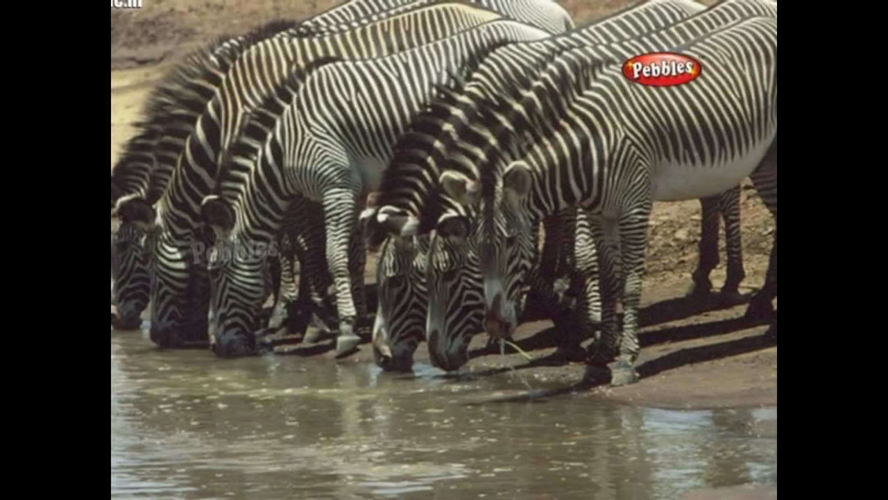 கழிவு நீர் மேலாண்மை - 10th சமச்சீர்க் கல்வி - உயிரில்