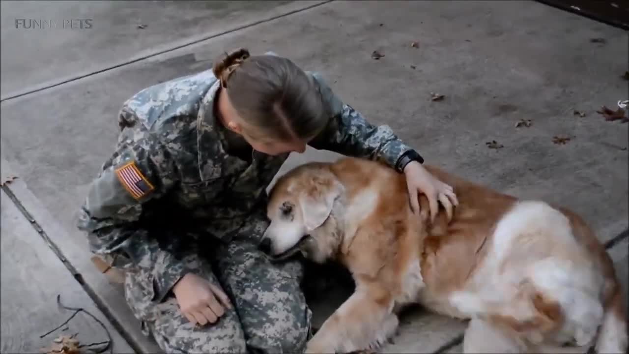 Dogs Meet Owners After A Long Time❤️ *unbreakable bond*