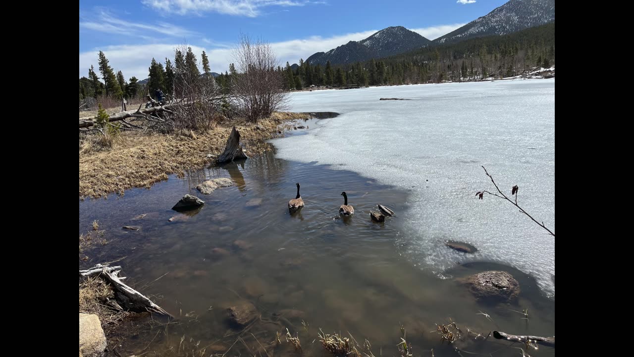 Sprague Lake RMMP 4-13-24