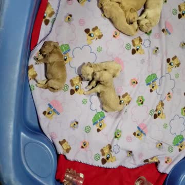 Mia's doodles day 10