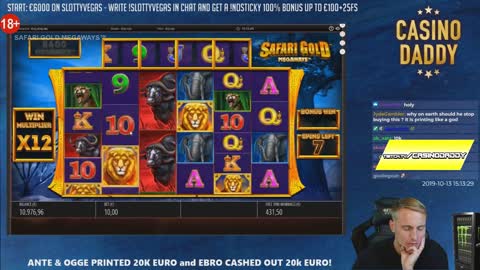 Streamer Huge Win on Book of dead slot - Top 5 Best wins of the week