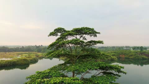 Singing Birds and Beautiful Landscapes