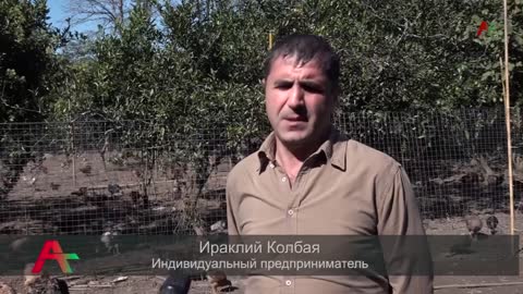 Беслан Джопуа посетил Гульрипшский, Ткварчельский и Гальский район