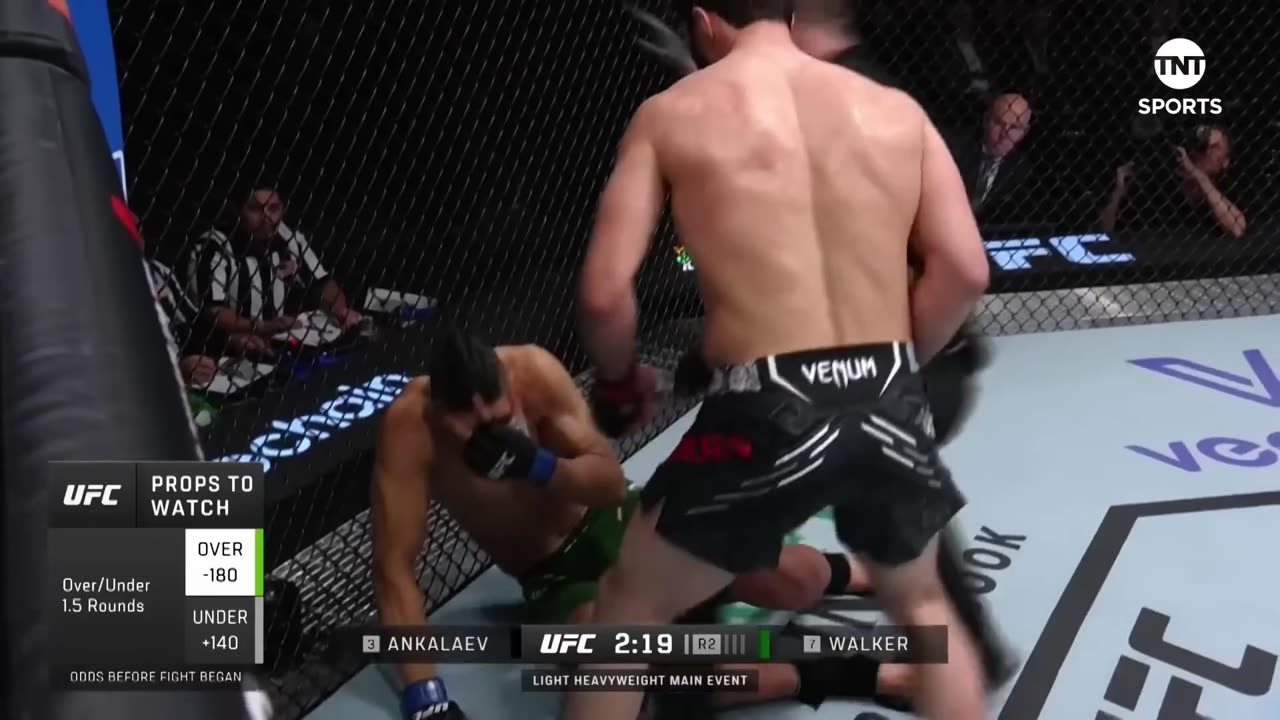 Khamzat, Islam and Magomed dominate the UFC over Islamic Nasheed