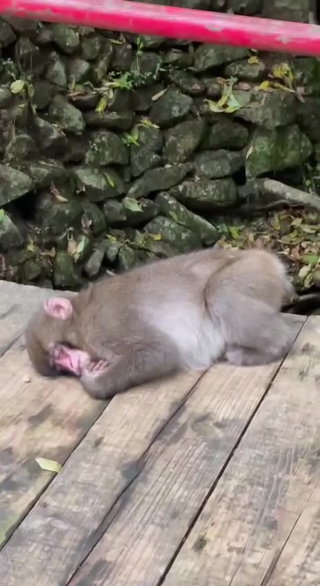 My days at times 🤣🤣