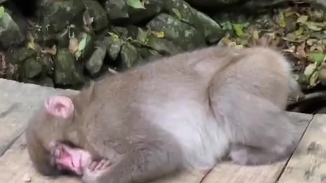 My days at times 🤣🤣