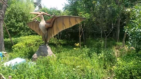 Is this a flying dinosaur?