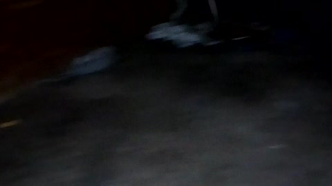 My cat catch a rat