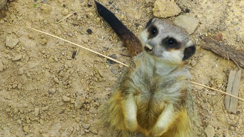 Are you looking for me 🤗🤗