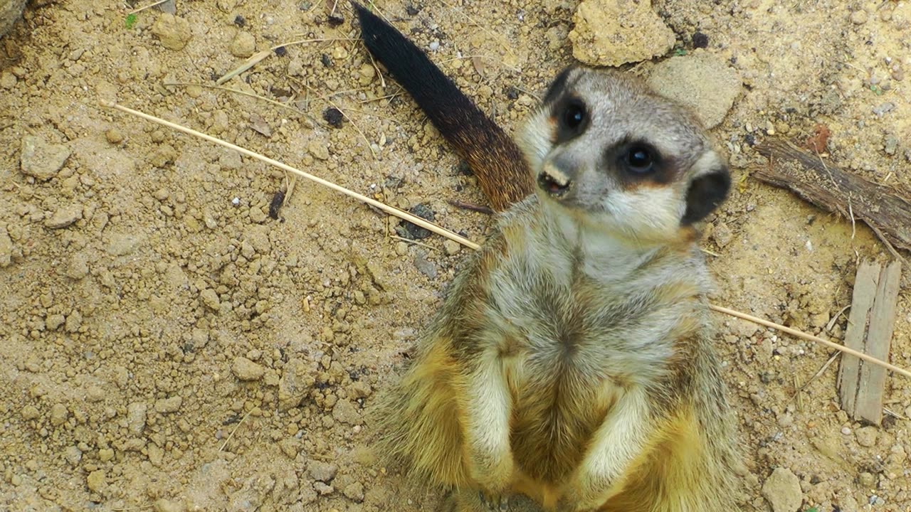 Are you looking for me 🤗🤗