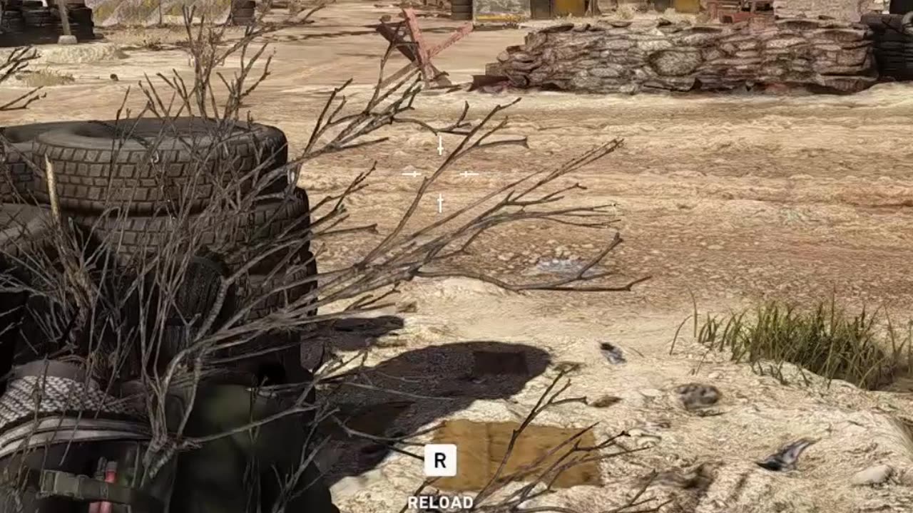 Tom Clancy Ghost Recon Wildlands Shorts