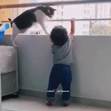 How the cat is removing the baby boy's hand