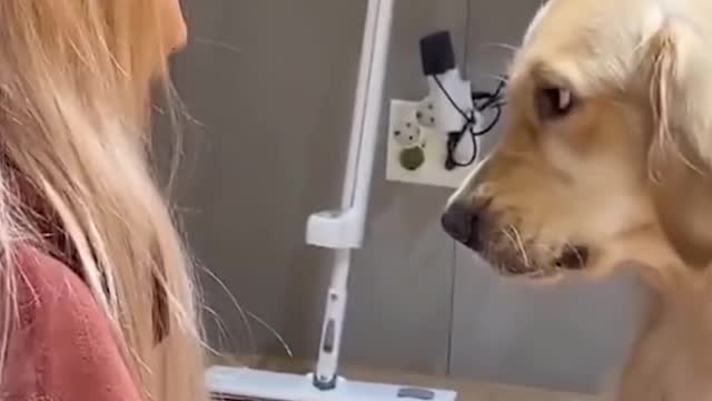 Unbelievable!!!!! Funny Dog Videos, Try not to laugh