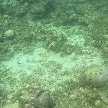 Snorkeling Morning!!