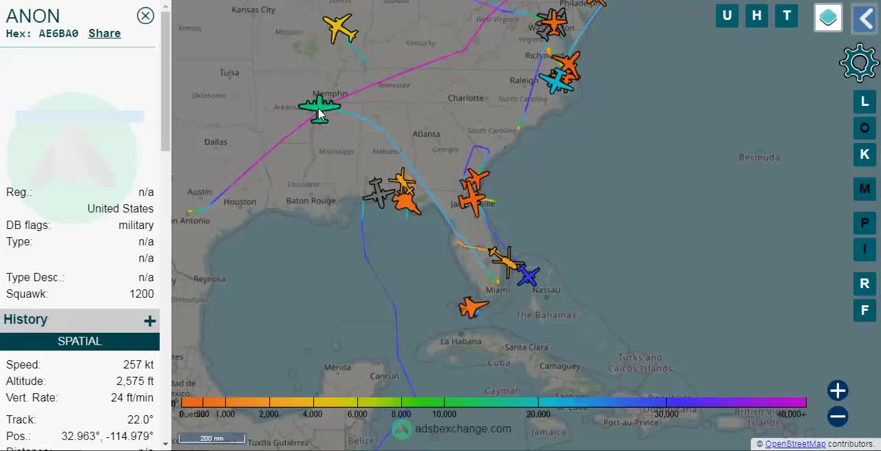 North Island & Miami 2 ANONs Today!