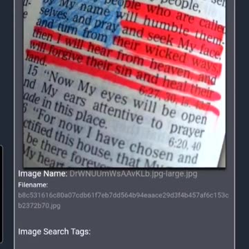 Look at Todays Delta’s after Trump Won last Night